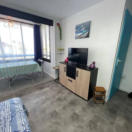 2 Pièces 2 Couchages St Cyprien Sc510-20d2 Appartamento Saint-Cyprien (Pyrenees-Orientales)