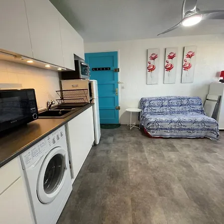 Apartment 2 Pieces 2 Couchages St Cyprien Sc510-20d2