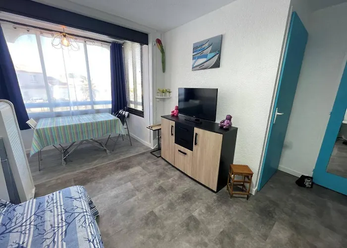 2 Pieces 2 Couchages St Cyprien Sc510-20d2 Apartamento Saint-Cyprien (Pyrenees-Orientales)
