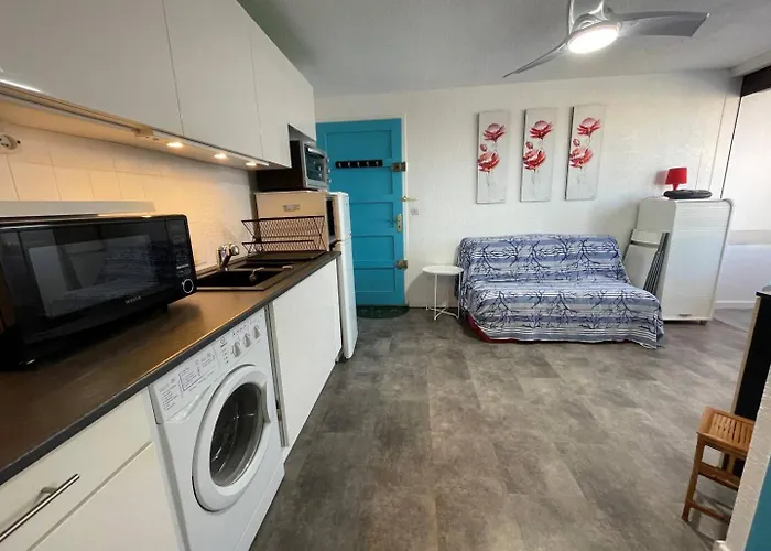 Apartamento 2 Pieces 2 Couchages St Cyprien Sc510-20d2